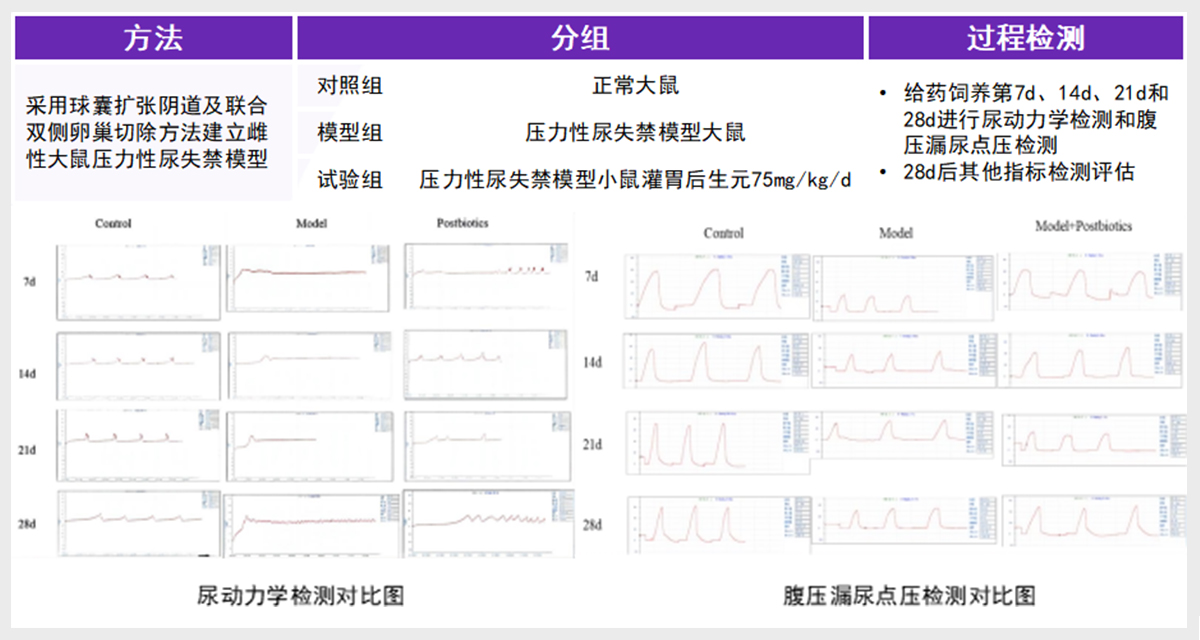 盆底肌肉修复 (9)