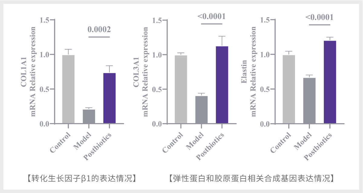 盆底肌肉修复 (10)